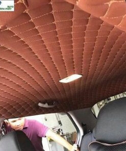 Bọc Trần La Phông 5D Ford Fiesta