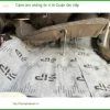 Dịch Vụ Thi Công Cách Âm Chống Ồn Ô Tô Tại Quận Gò Vấp - Thi Công Chuyên Nghiệp